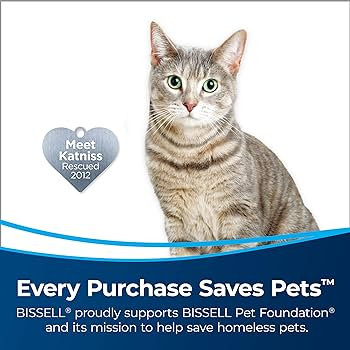 BISSELL AeroSlim Lithium Ion Cordless Handheld Vacuum, 29869 | Amazon (US)