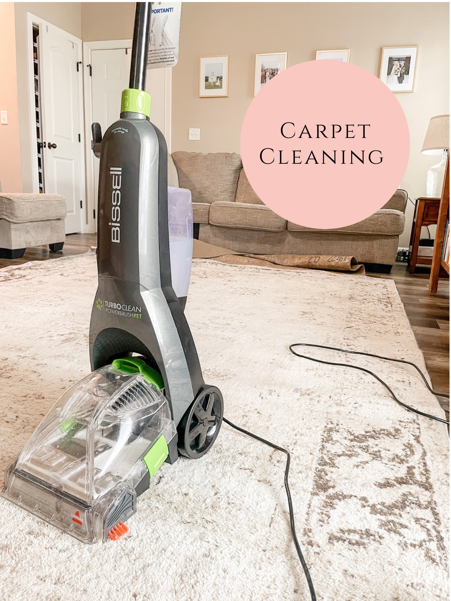 Carpet cleaning favorites.  Dog friendly.  

#LTKfamily #LTKFind #LTKhome