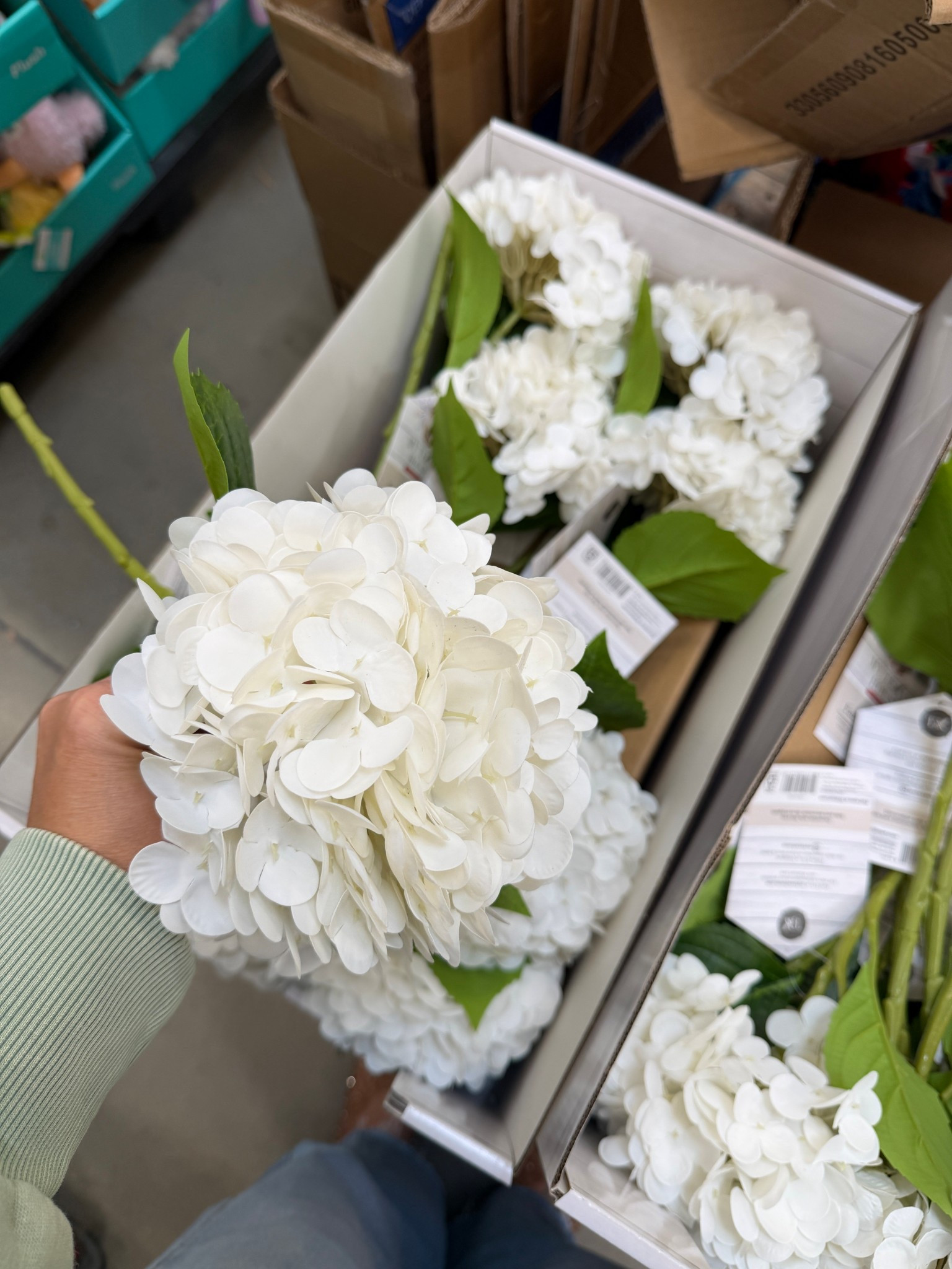 The most realistic faux hydrangeas 🤌🏼

#LTKHome #LTKSeasonal