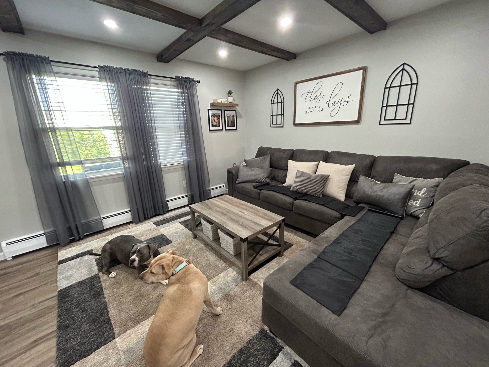 No more doggies on furniture :)

#LTKFind #LTKhome