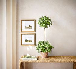 Pastel Fields by Hannah Winters | Pottery Barn (US)