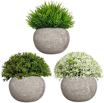 MIXCUTE Mini Artificial Plants 3 Pack Fake Plants Potted Faux Green Grass Flower Topiary Plants w... | Amazon (US)