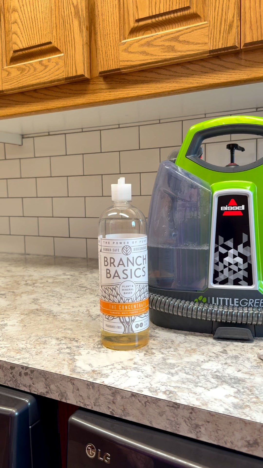 Our dogs deserve a clean bed just as much as we do! I’ve been using non toxic and clean Branch Basics to clean Jazzy’s bed  

#LTKHome #LTKPets #LTKFindsUnder100