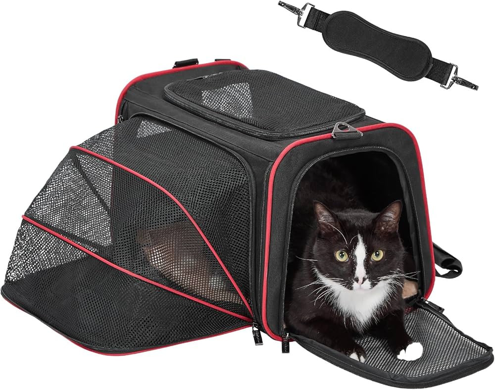 Petsfit Expandable Cat Carrier Dog Carriers,Airline Approved Soft-Sided Portable Pet Travel Washa... | Amazon (US)