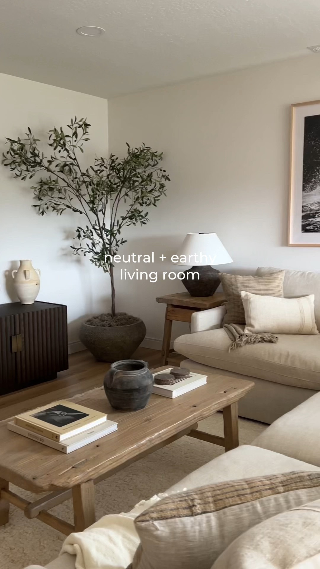 neutral + earthy living room

#LTKHome #LTKVideo