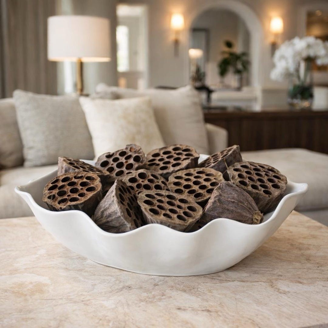 Add natural texture and sculptural beauty to your floral styling with these dried lotus pod heads. Each piece features earthy tones and distinctive seed cavities that create striking visual interest in arrangements, wreaths, or minimalist vessels. Perfect for adding an organic, architectural element to seasonal décor, these naturally dried pods bring timeless, nature-inspired design to any space. #ltkhome #ltkstyle #floraldesign #driedflowers #lotuspods #naturaldecor #organicstyle #floralstyling

#LTKSeasonal #LTKHome