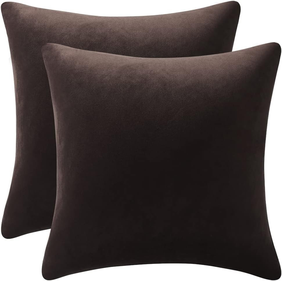 Amazon.com: DEZENE Decorative Pillow Cases 20x20 Chocolate Brown: 2 Pack Cozy Soft Velvet Square ... | Amazon (US)