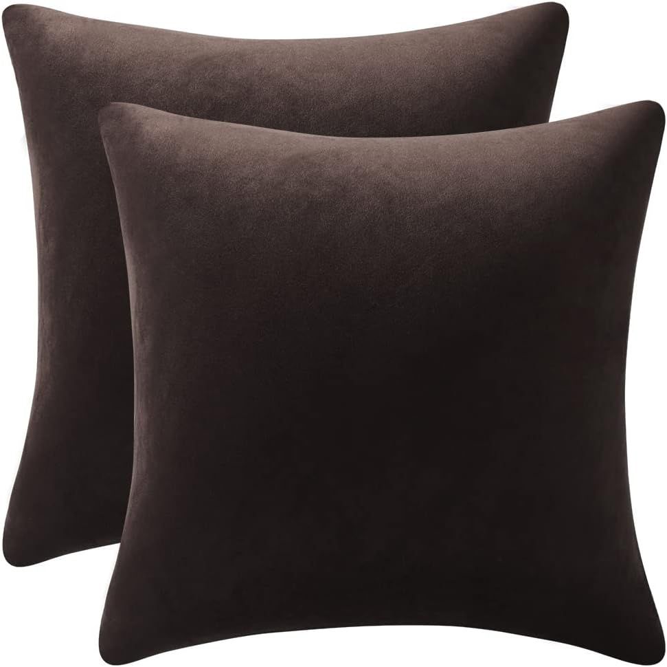 Amazon.com: DEZENE Decorative Pillow Cases 20x20 Chocolate Brown: 2 Pack Cozy Soft Velvet Square ... | Amazon (US)