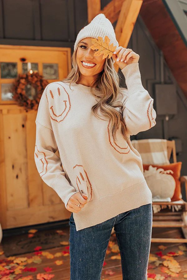 Happy Smiles Knit Sweater In Birch | Impressions Online Boutique