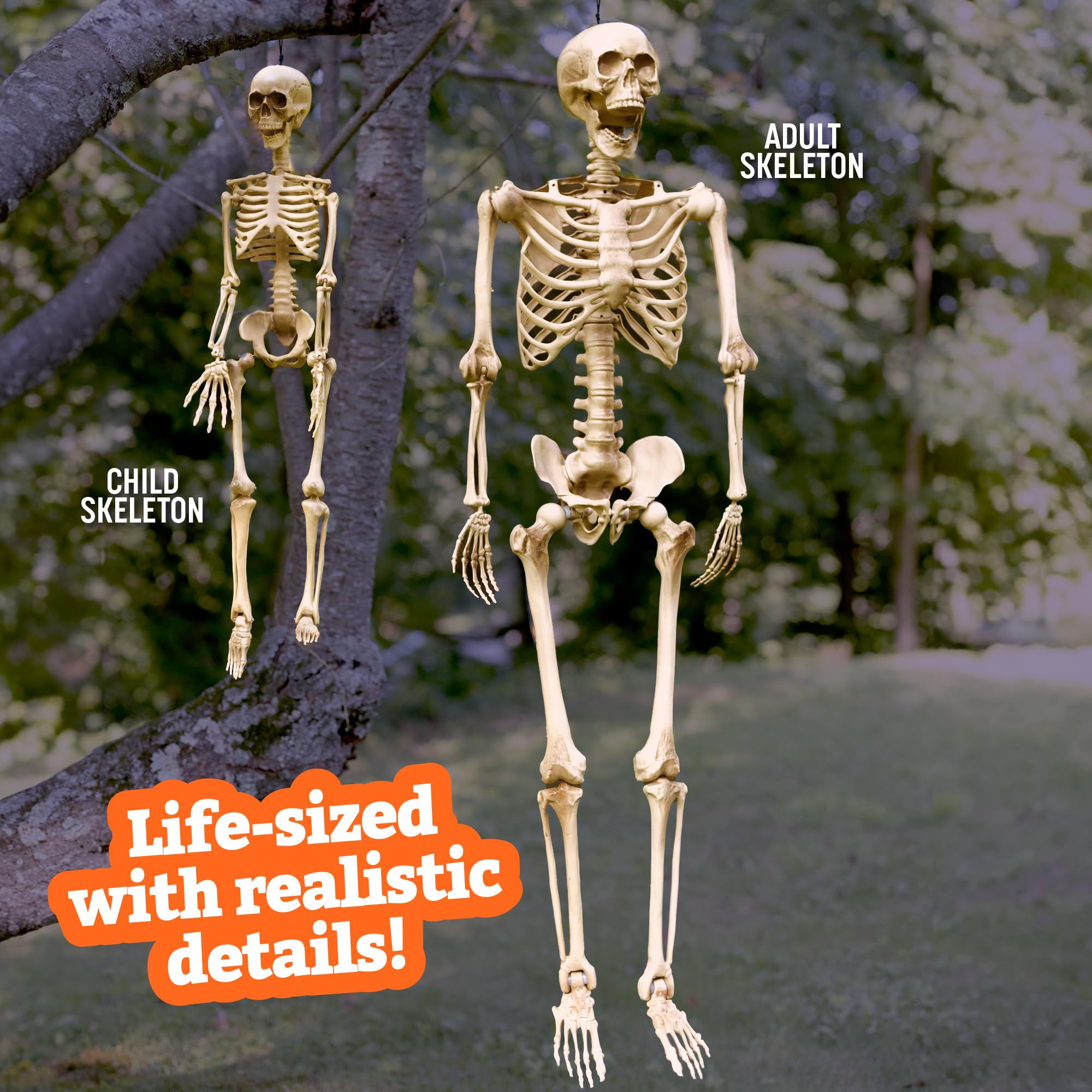 Life Size Human Skeleton Halloween Decoration Value 2 Pack- Adult 5' 4" & Child 2' - Articulated ... | Amazon (US)