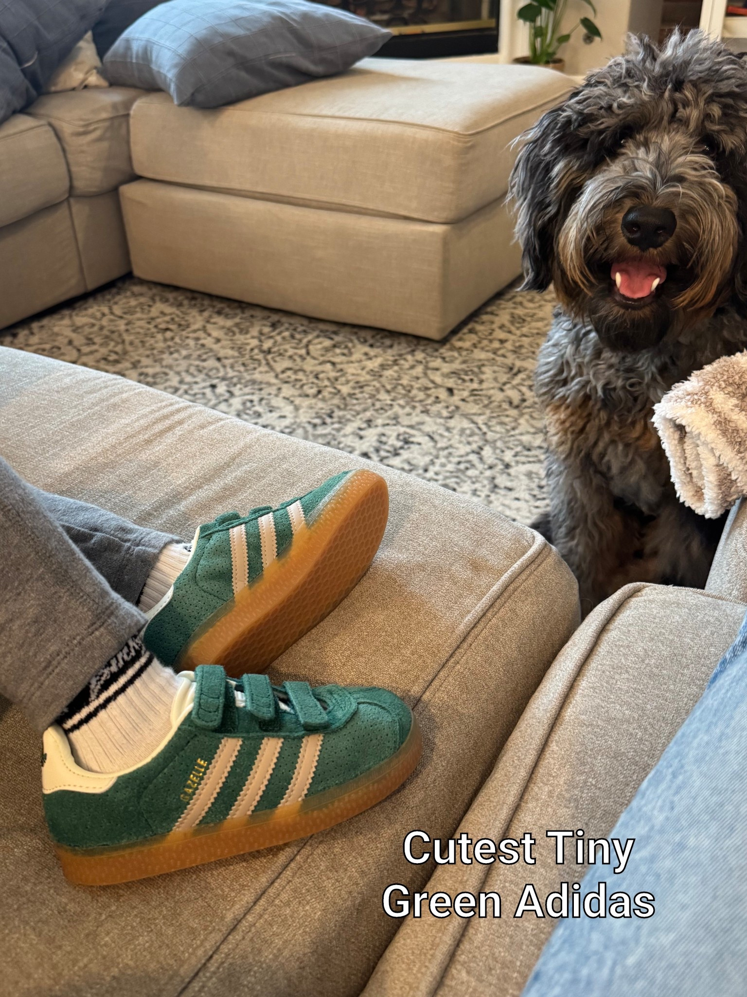 I found the cuuuuuutest green adidas gazelle’s for Jack— his favorite color!! So cute for St Paddy’s Day too! 🌈 🍀 

Shared the Walmart green shoes I found too which are perfect for play and preschool. 

#LTKKids #LTKFamily