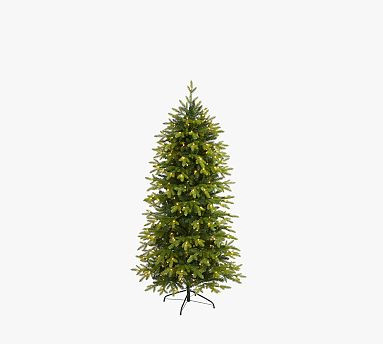 Lit Belgium Fir Artificial Christmas Tree | Pottery Barn (US)