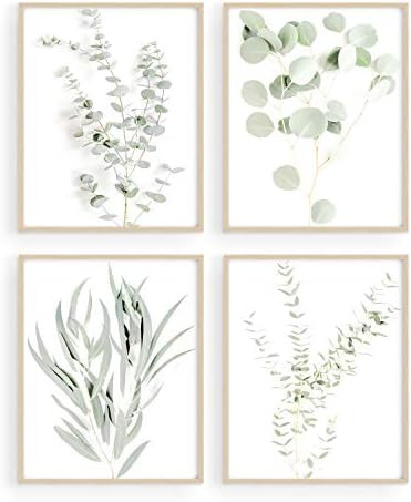 Haus and Hues Botanical Plant Wall Art Prints - Set of 4 Plant Wall Decor Prints Floral Kitchen F... | Amazon (US)