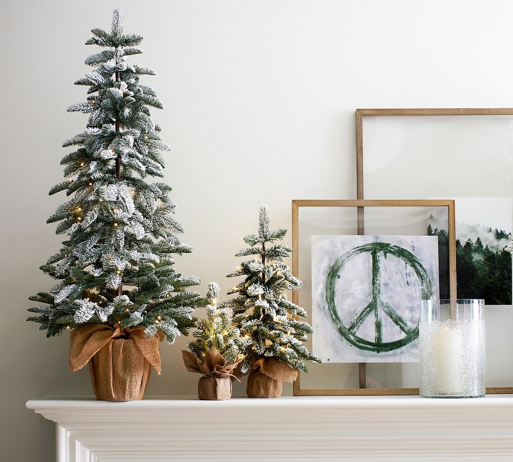 Lit Frosted Faux Pine Trees | Pottery Barn (US)