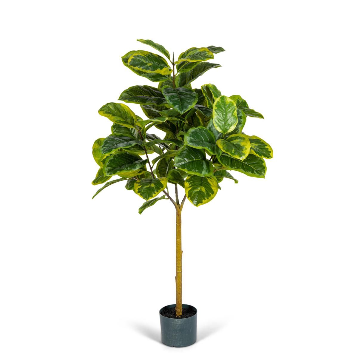 The Gerson Co. Real Touch Realistic Ficus in Plastic Pot w/ Faux Dirt | HSN