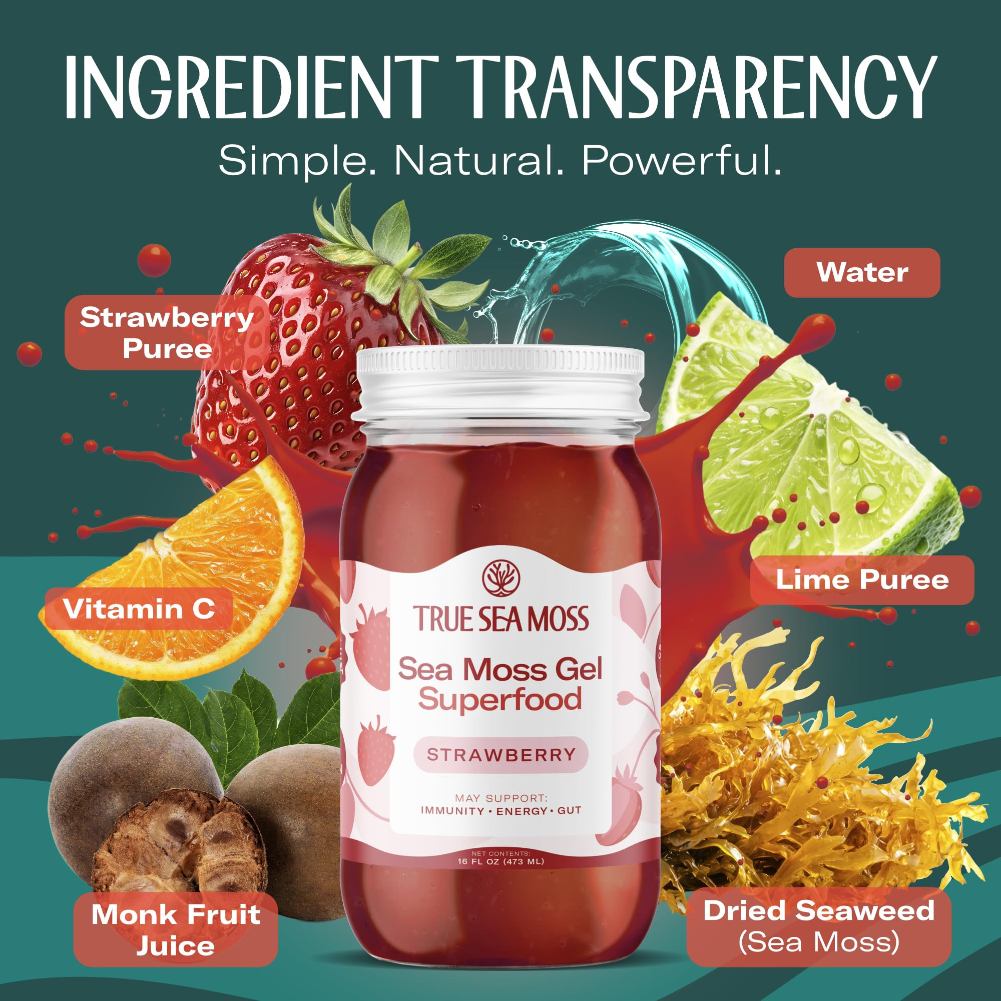 TrueSeaMoss Sea Moss Gel – Made in USA – Wildcrafted Seamoss, Fresh Fruits & Sea Vegetables ... | Amazon (US)