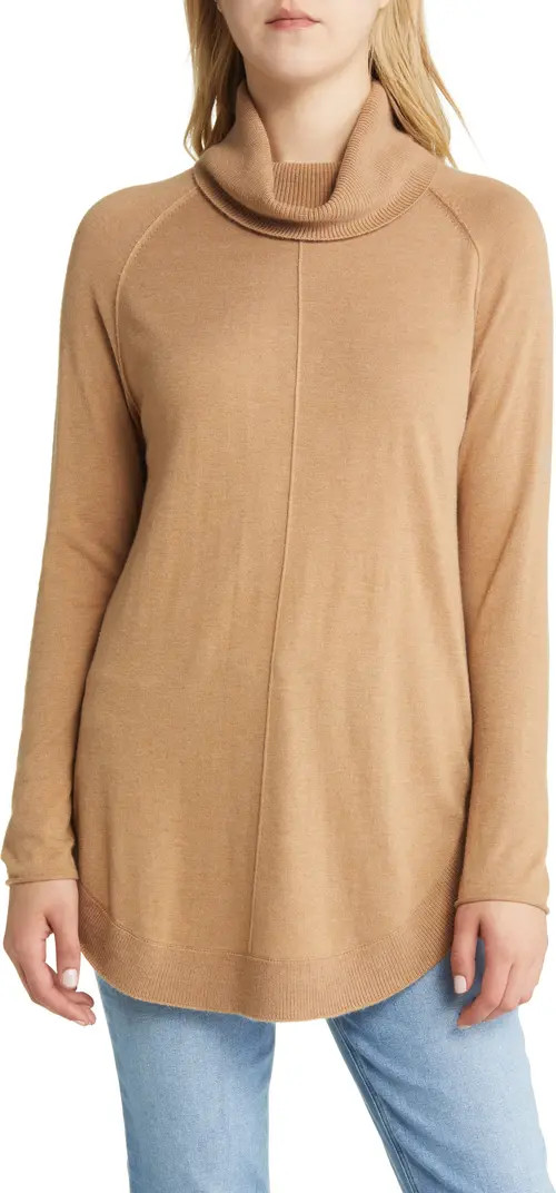 Caslon® Turtleneck Tunic Sweater | Nordstrom | Nordstrom