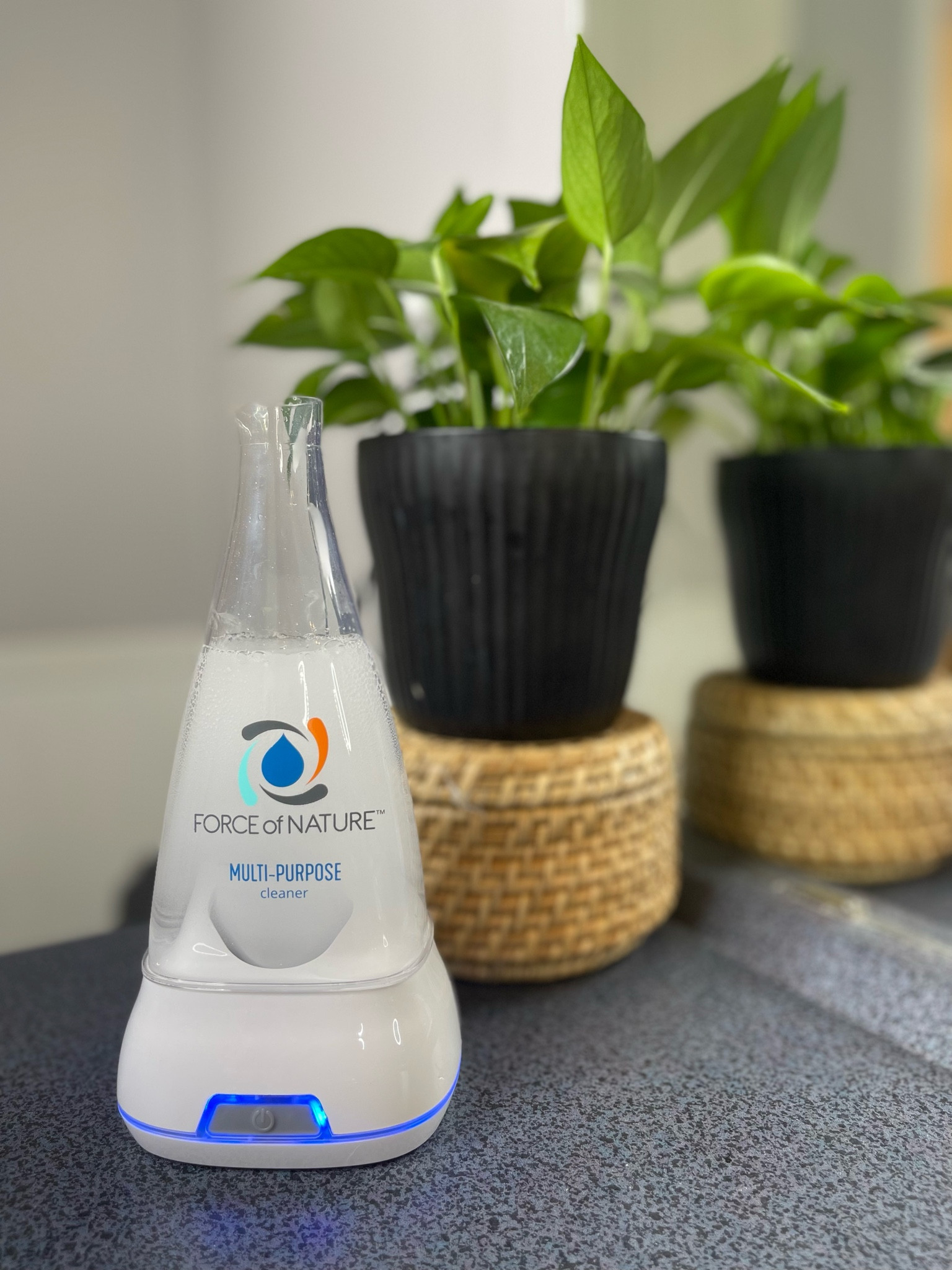 Non toxic cleaning multi surface product! Disinfects and sanitizes, this is a powerful cleaning solution! Works really well! Super affordable too!

#LTKFamily #LTKFindsUnder50 #LTKHome