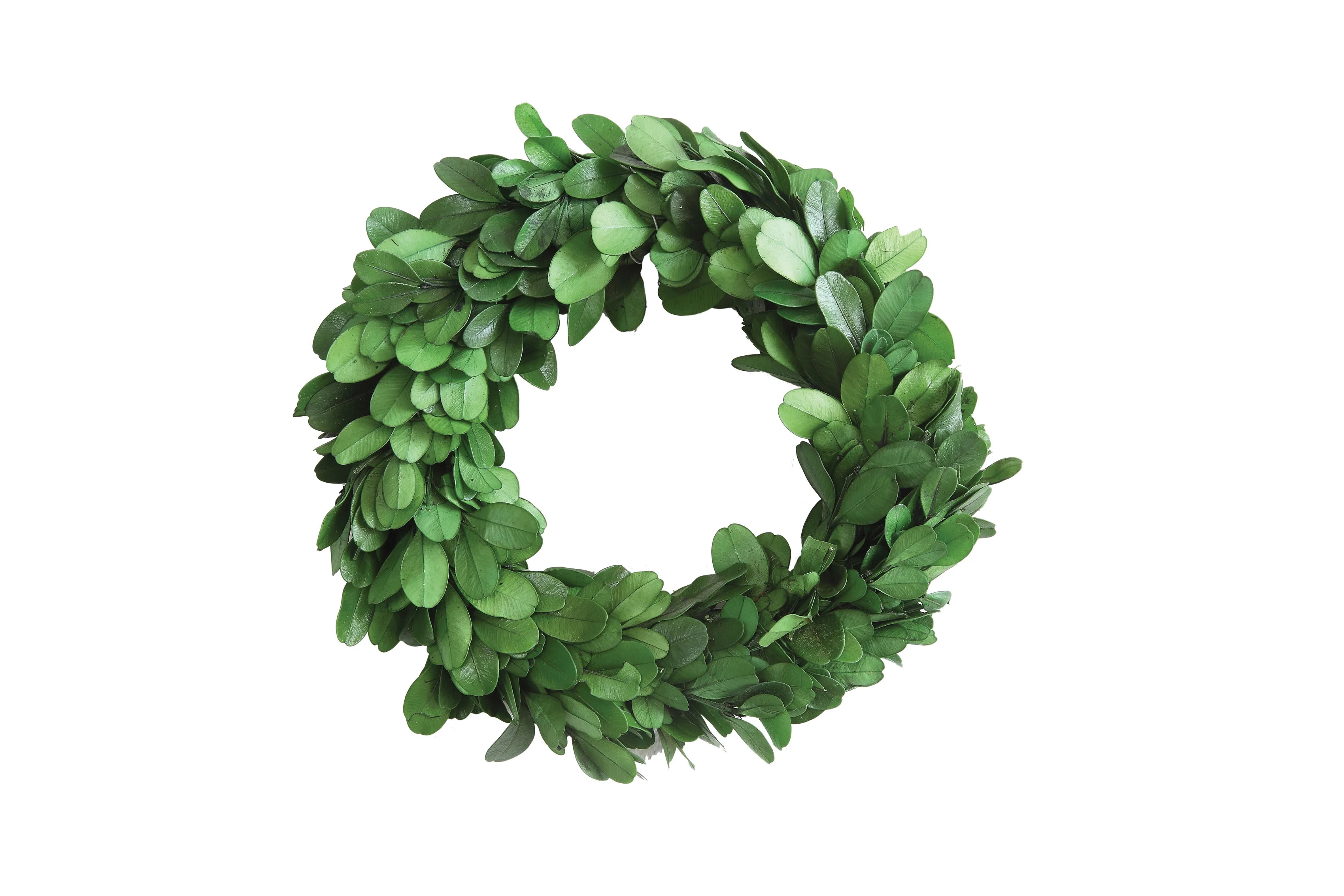 Creative Co-Op Preserved Boxwood Wreath - Walmart.com | Walmart (US)