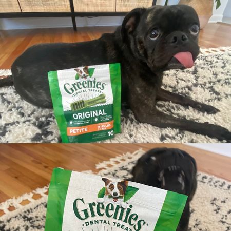 #Ad #WalmartPartner 
Instagram vs reality 🤭
If it wasn’t obvious, Dash’s favorite treats are Greenies! So thankful it’s a dental chew with vitamins and minerals because he gets one daily 😁 I find all of his favorite treats and toys on Walmart! Greenies makes cat treats too! 

You can easily shop our favorites on the LTKit app! 

#LTKFind #LTKfamily