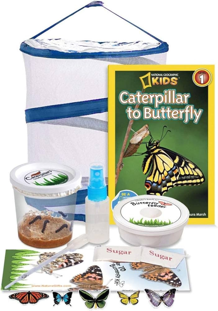 Nature Gift Live Butterfly Growing Kit: Other Kits Ship Caterpillars Separately. We Include 5 Liv... | Amazon (US)