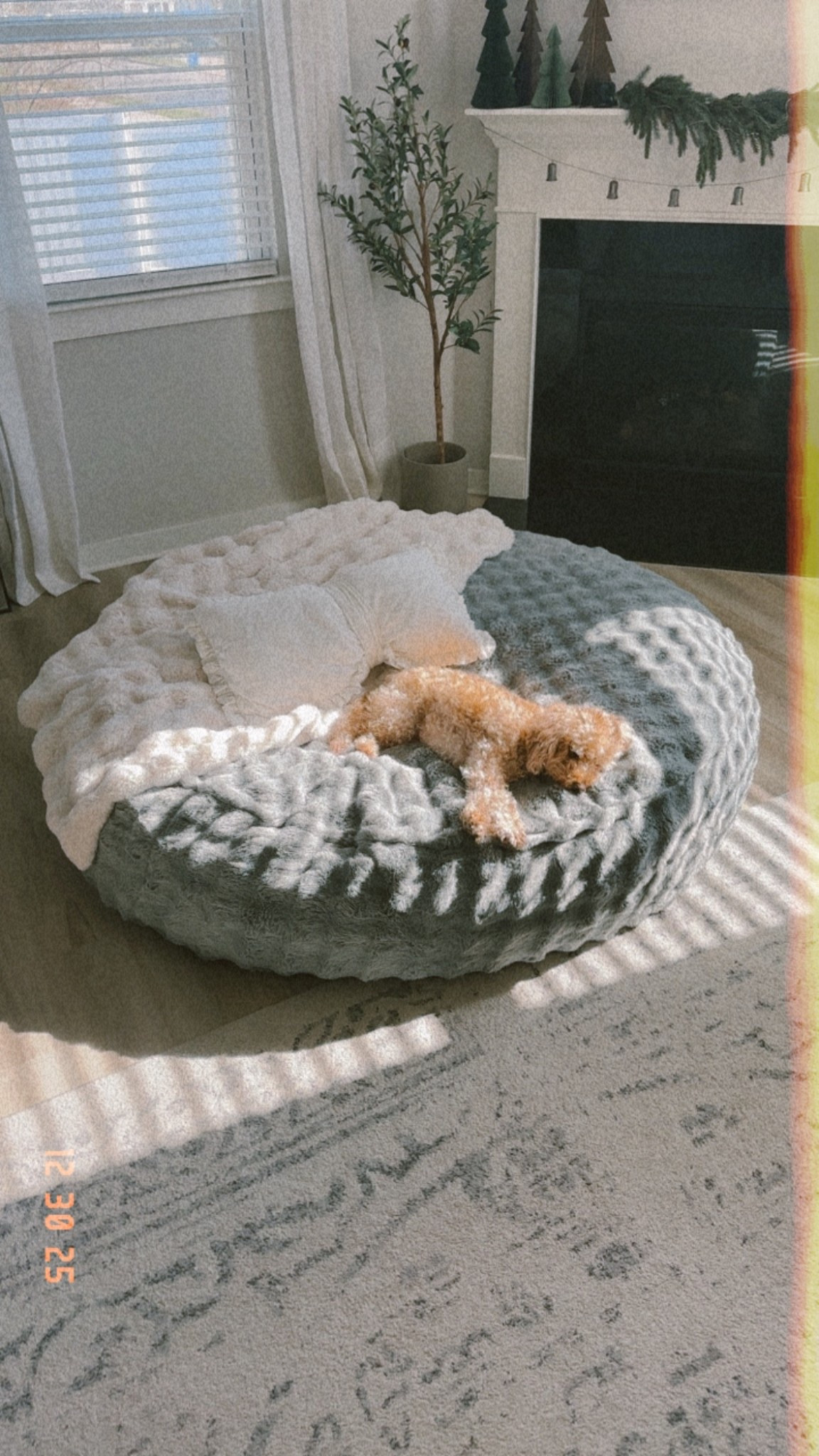 6ft bean bag + the best blanket



#LTKGiftGuide #LTKHome #LTKSaleAlert