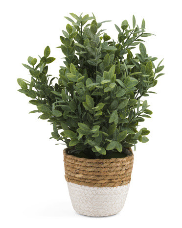 Large Powder Tea Leaf In Woven Pot | Marshalls