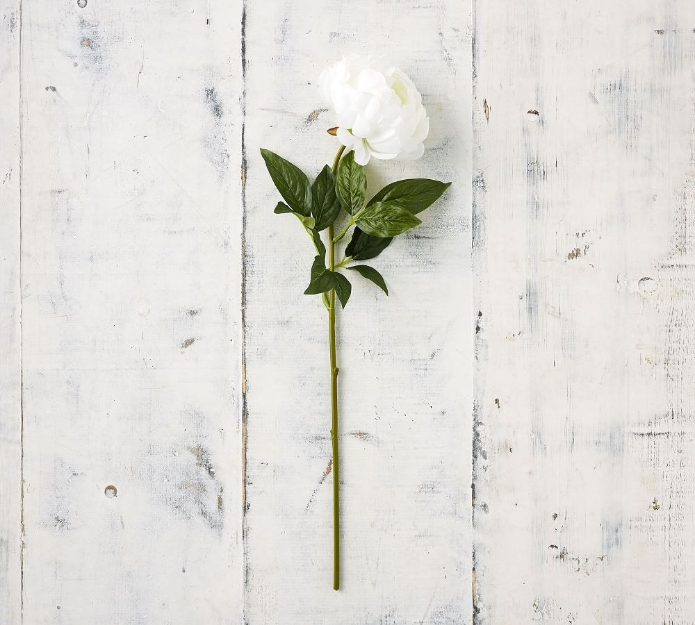 Faux Peony Stems | Pottery Barn (US)