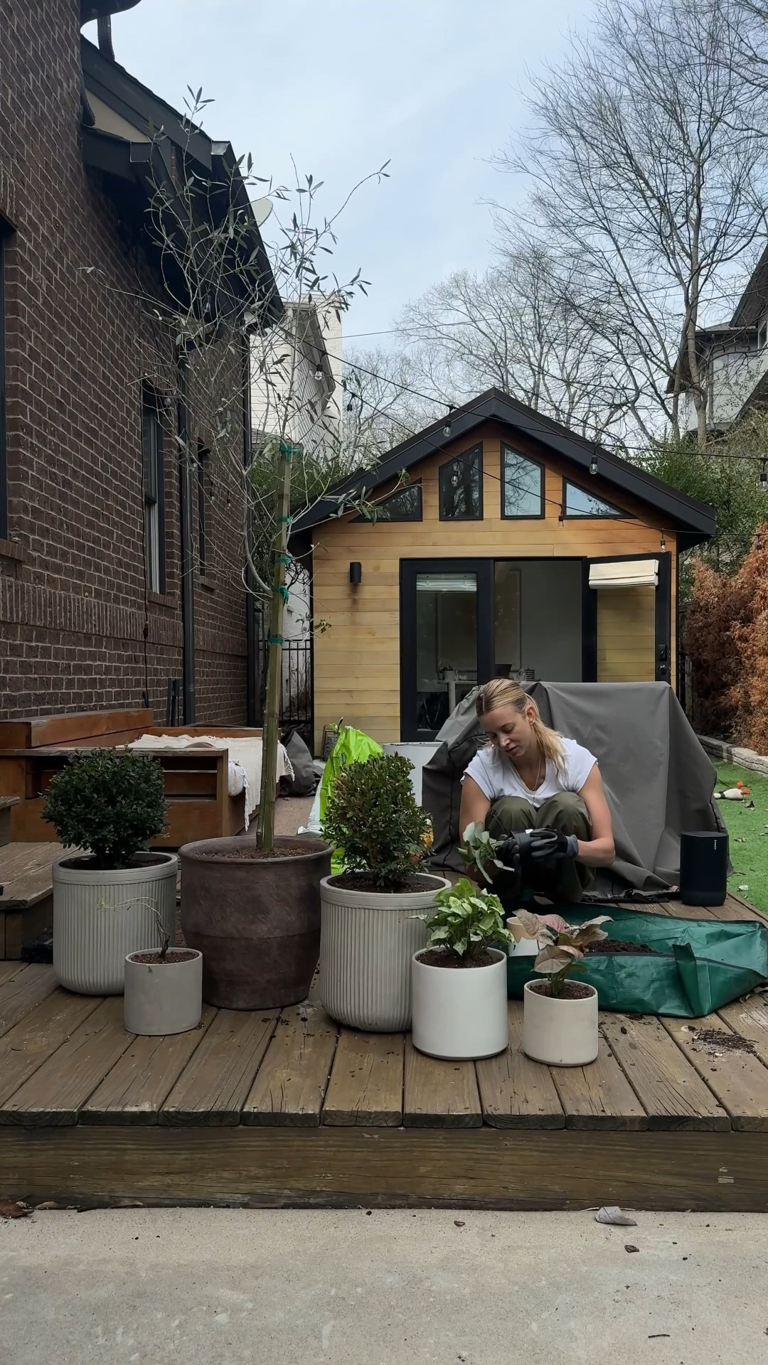 Gave my plants a lil upgrade and some TLC 🌿 this is my favorite outfit for doing projects because it’s so cute I can easily switch it up to go meet my friends for lunch or lay with Yukie 🐾 

#LTKHome #LTKWorkwear #LTKStyleTip #LTKWatchNow