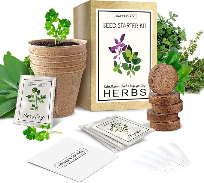 Indoor Herb Garden Starter Kit - Non GMO - Seed Packets, Pots, Markers, Soil Mix - Fresh Basil, C... | Amazon (US)
