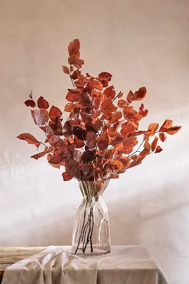 Preserved Beech Leaf Bunch | Anthropologie (US)