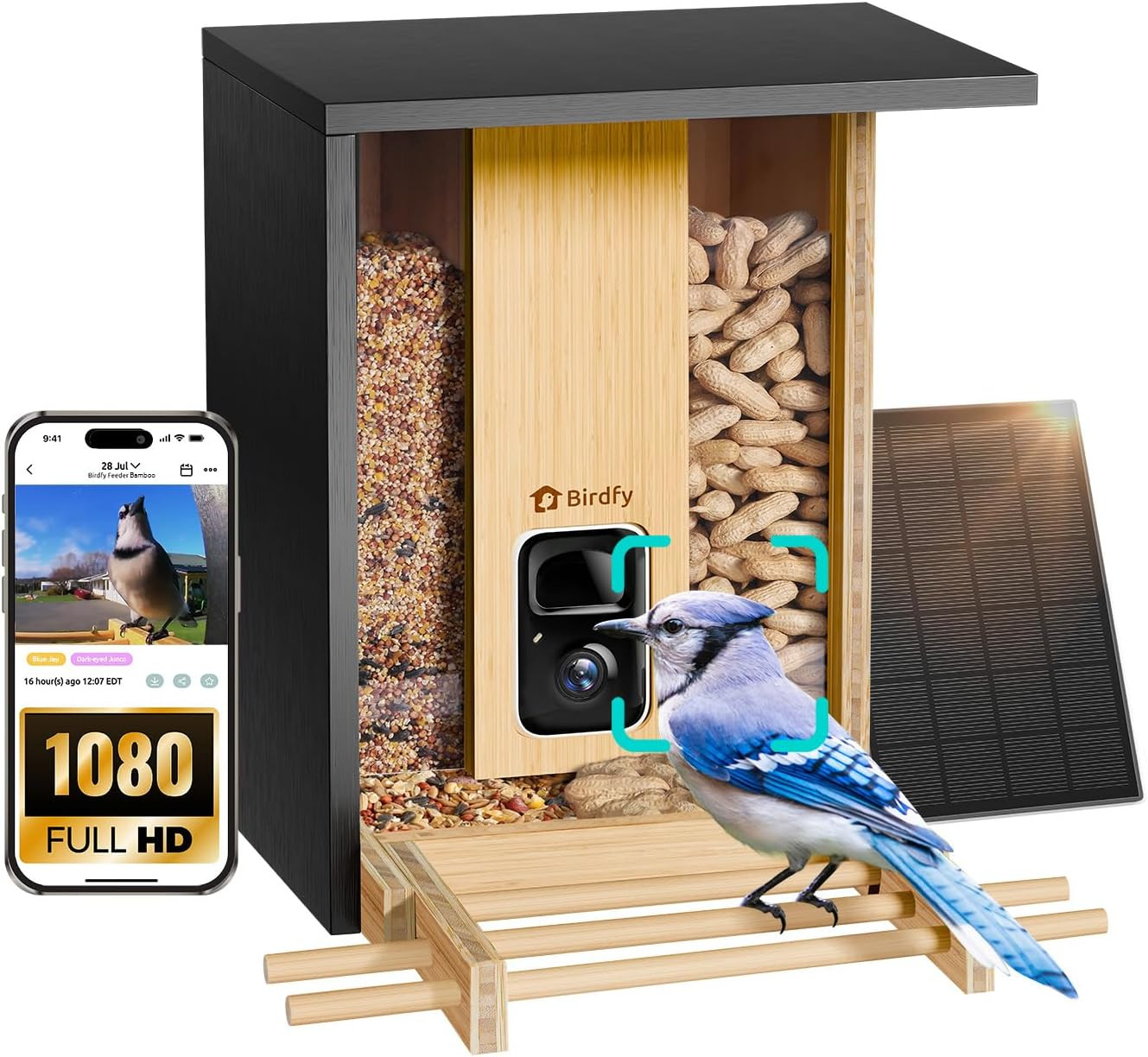 NETVUE by Birdfy Smart Bird Feeder with Camera Solar Powered, Permanent AI Identify 6000+ Bird Sp... | Amazon (US)