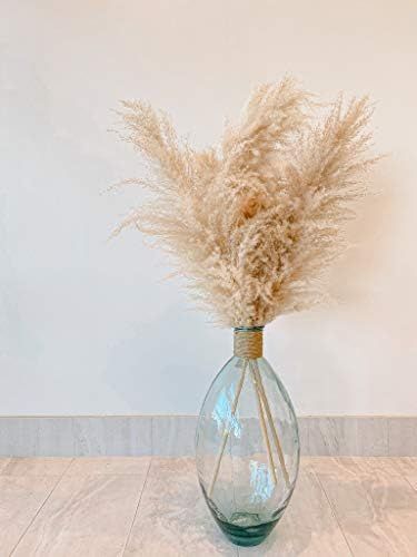 Natural & Dried Pampas Grass (3 Piece) for Flower Arrangement & Vase Decoration – Boho Bohemian... | Amazon (US)