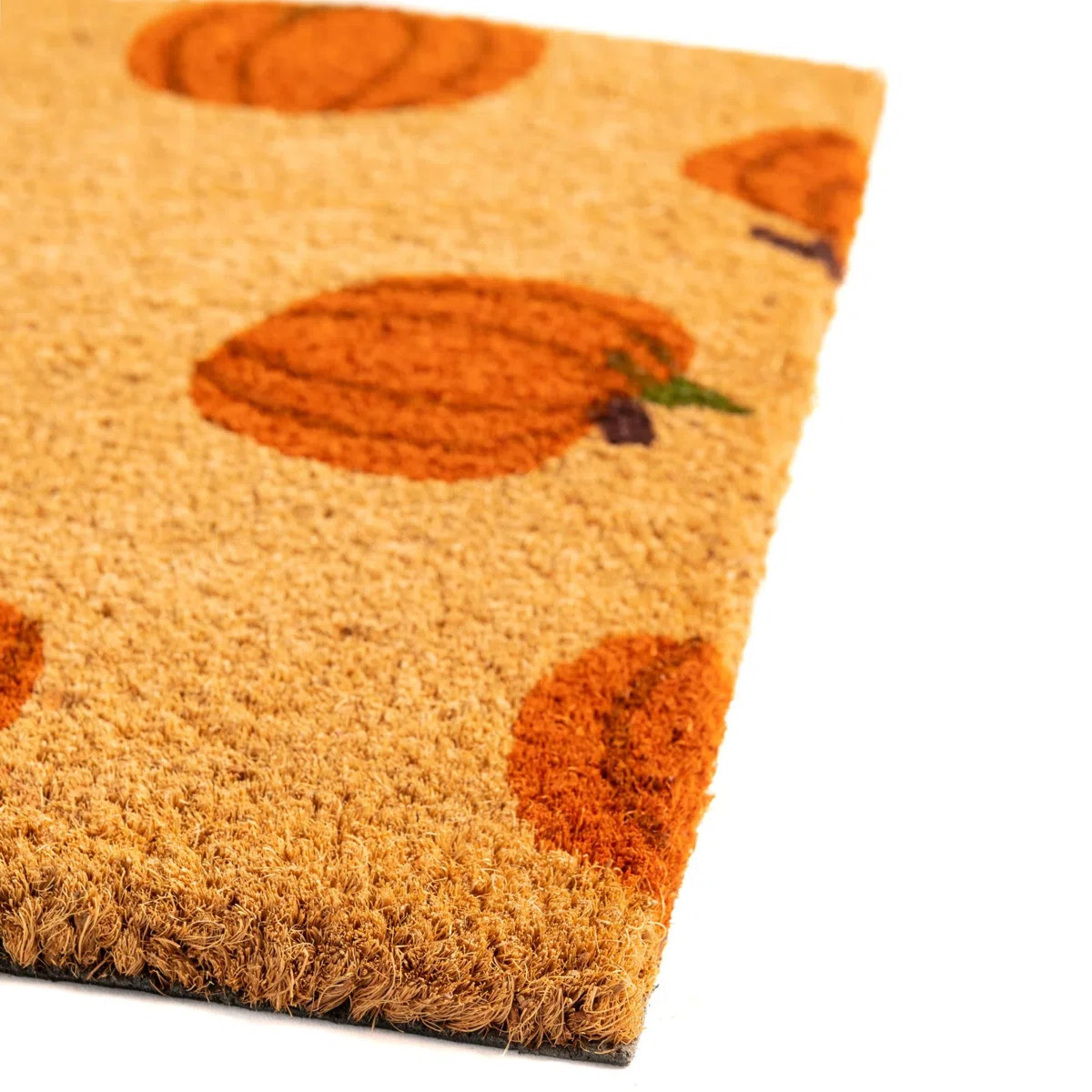 Birch Lane™ Adamsdale Non-Slip Outdoor Door Mat & Reviews | Wayfair | Wayfair North America