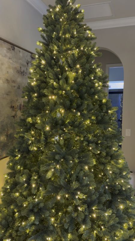 I love this tree! The green is gorgeous and it’s so full and easy to assemble! 

Oversized Christmas tree, king of Christmas tree, royal fir Christmas tree 

#LTKhome #LTKHoliday