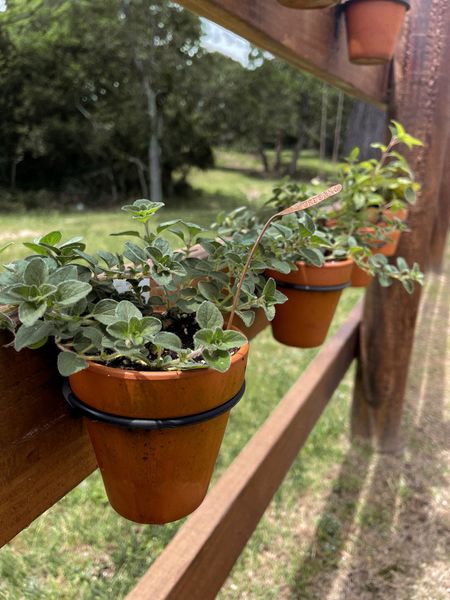Have fresh herbs on hand always by using these adorable planters on your fence! 

I love cooking with fresh as much as possible and this is such an easy and inexpensive way to do that. 🪴 

#LTKHome #LTKSeasonal