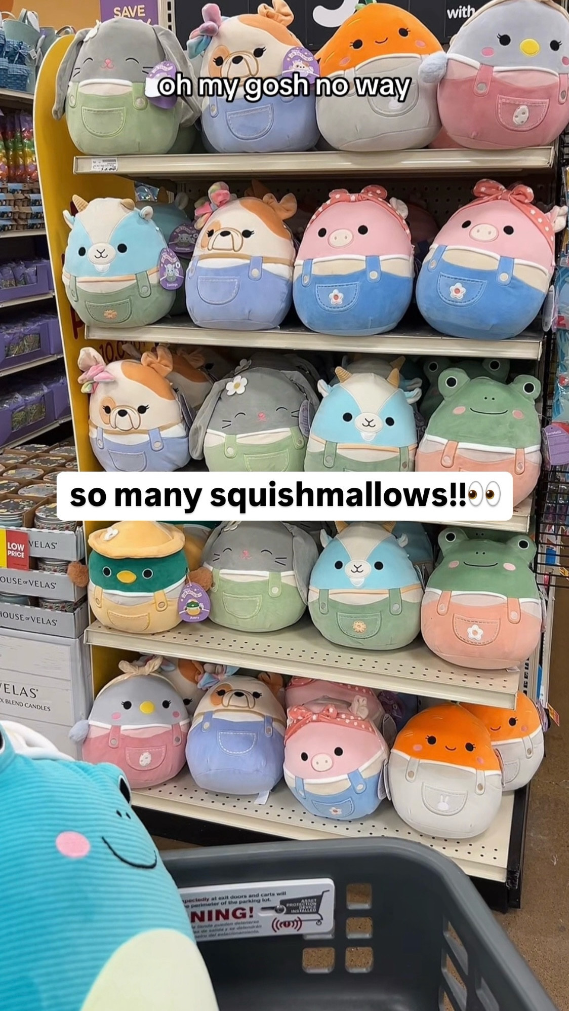 So many cute squishmallows!!☺️ Linking a few sites below (Amazon, Walmart, Target) in case one of them is sold out! 

#squishmallow #stuffedanimal #giftguide #home #toy #kids 

#LTKGiftGuide #LTKKids #LTKHome