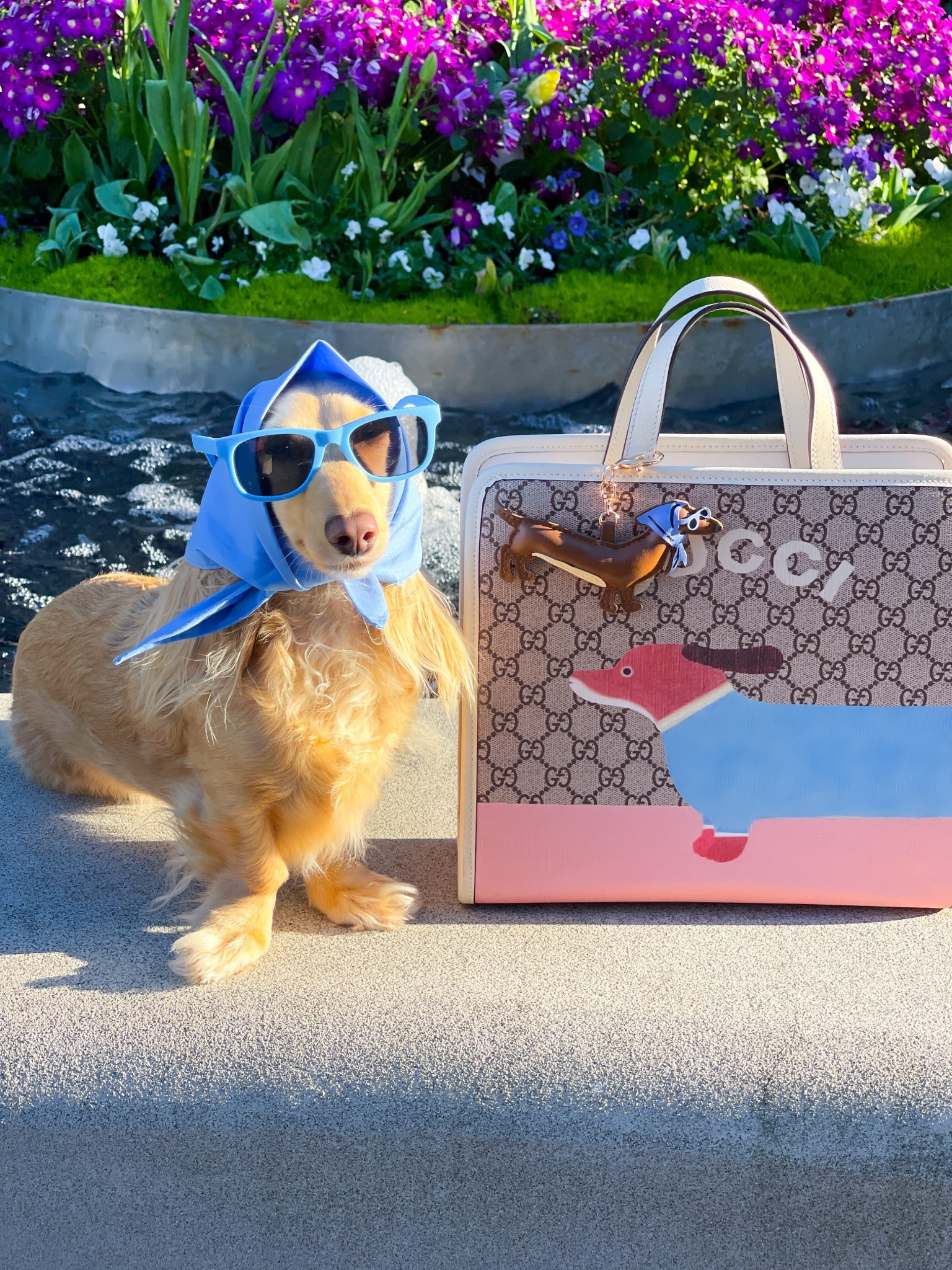 The cutest dachshund bag charm under $16! 

.

.

.

.

(Dachshund finds, doxie bag charm, dachshund mom, dachshund keychain, dachshund fashion, dachshund bag, wiener dog bag charm, sausage dog bag charm, dachshund find, dachshund accessories, dachshund gift, gifts for the dachshund lover, ae dachshund bag charm, american eagle dachshund bag charm, hot dog bag charm, gucci dachshund bag, #dachshund #bagcharm #dachshundfinds )

#LTKSaleAlert #LTKFestival #LTKootd