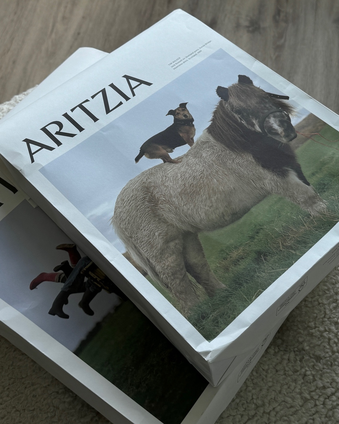 Aritzia Spring Haul 

#LTKSpringSale #LTKMostLoved #LTKSeasonal