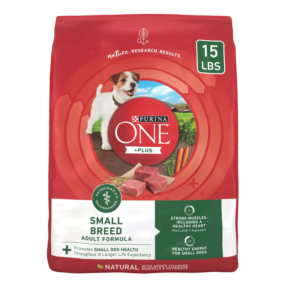 Purina ONE SmartBlend Small Breed Natural Lamb Flavor Dry Dog Food | Target