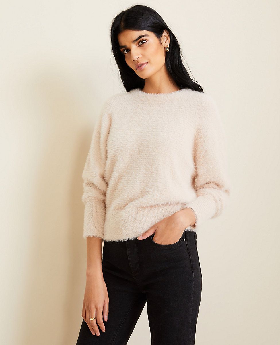 Brushed Crew Neck Sweater | Ann Taylor (US)