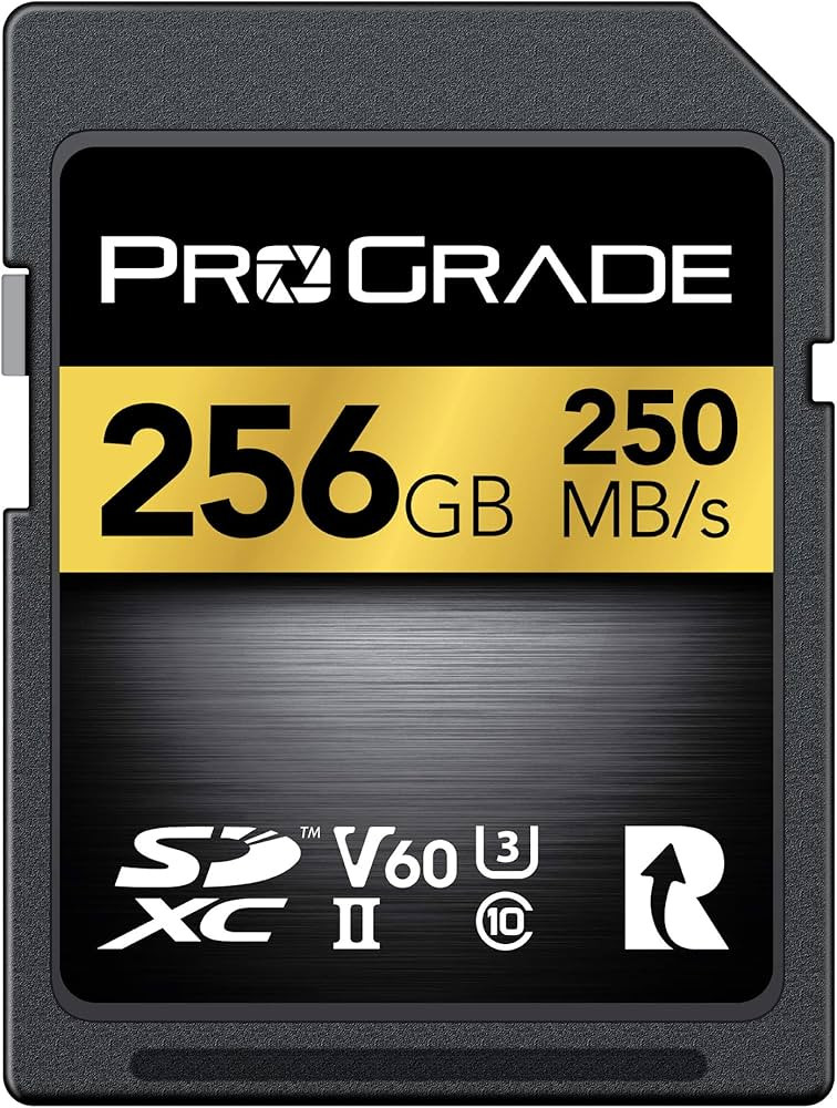 SD UHS-II 256GB Card V60 –Up to 130MB/s Write Speed and 250 MB/s Read Speed | for Professional ... | Amazon (US)