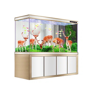 Modern Minimalist Rectangular Eco Aquarium Tank | Wayfair North America