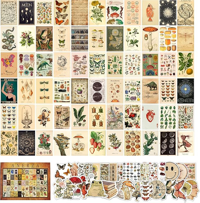 ANERZA 100 PCS Vintage Wall Collage Kit Aesthetic Pictures, Cottagecore Room Decor for Bedroom Ae... | Amazon (US)