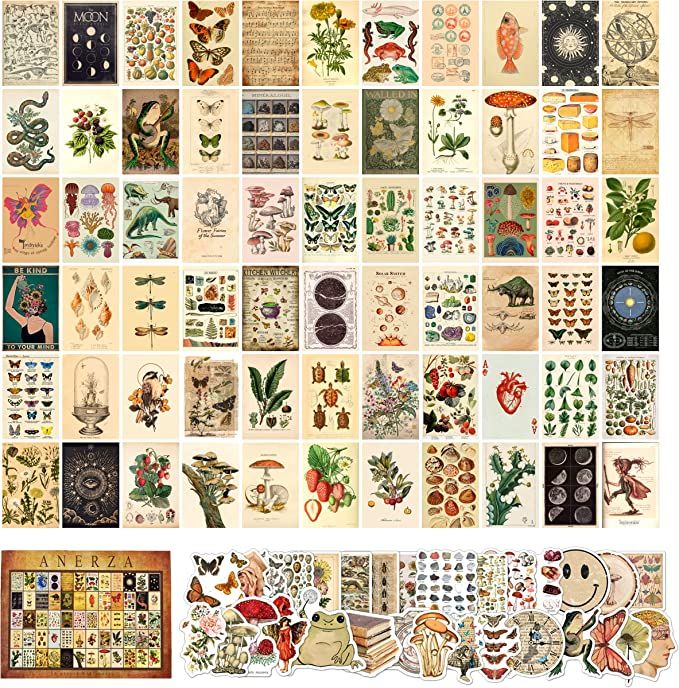 ANERZA 100 PCS Vintage Wall Collage Kit Aesthetic Pictures, Cottagecore Room Decor for Bedroom Ae... | Amazon (US)