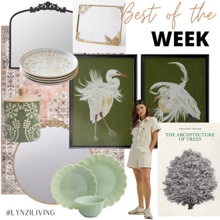 Best of the Week - all of the most clicked items of last week 

Home decor, living room decor, bedroom decor, kitchen decor, dining decor, Kirkland’s finds, orange wall mirror, vintage wall mirror, antique wall mirror, orange area rug, gold wall mirror, black wall mirror, world market finds, green canister, jadeite dinnerware, green dinnerware, pioneer woman, Walmart finds, Walmart home, Walmart favorites, union-alls, spring style, coffee table book, Amazon favorites, Amazon home, Amazon finds, Wayfair finds, bird wall art, crane wall art, framed wall art, bunny plates, spring salad plates, Easter plates, west elm finds, anthroliving, Anthropologie finds, gold picture frame 

#LTKFind #LTKhome #LTKunder100