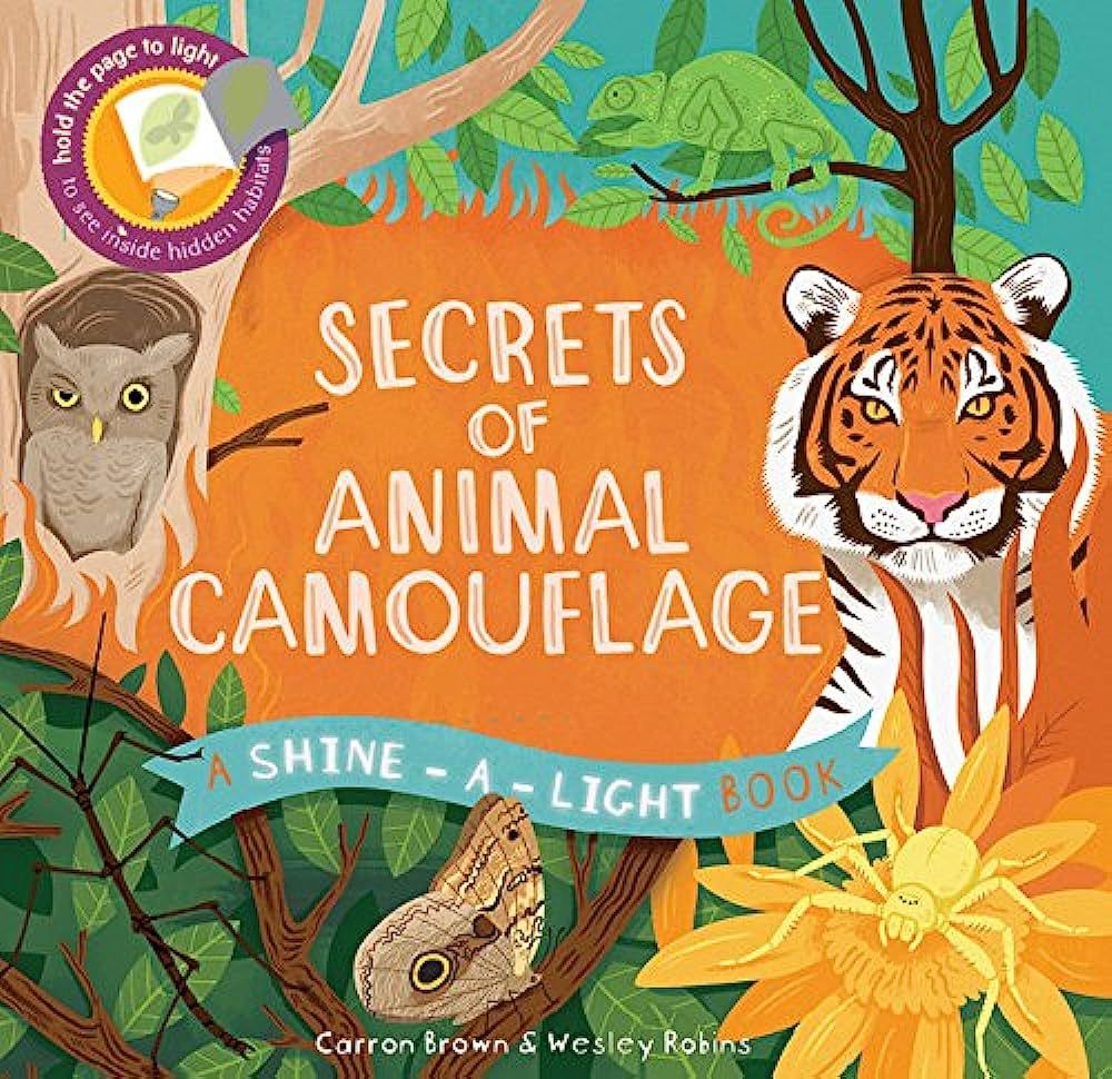 Secrets of Animal Camouflage: A Shine-a-Light Book | Amazon (US)
