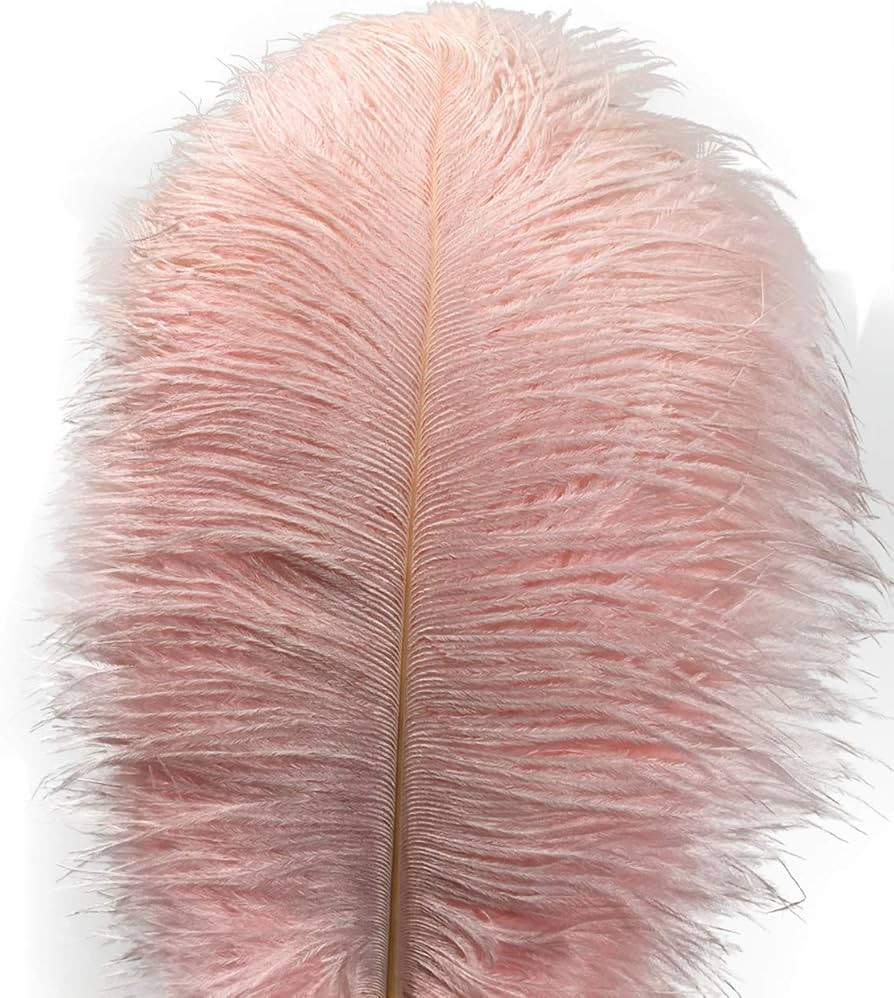 Lampu 10pcs Ostrich Feathers 12-14 inch(30-35cm) Plume Home Wedding Decoration（Light Pink） | Amazon (US)