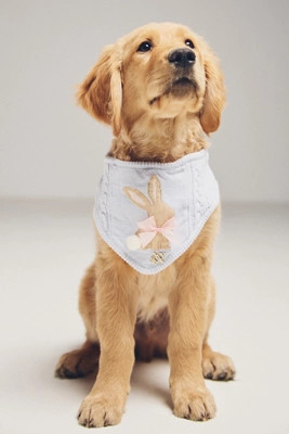 The Deluxe Pup Easter Bunny Pet Bandana | Anthropologie (US)