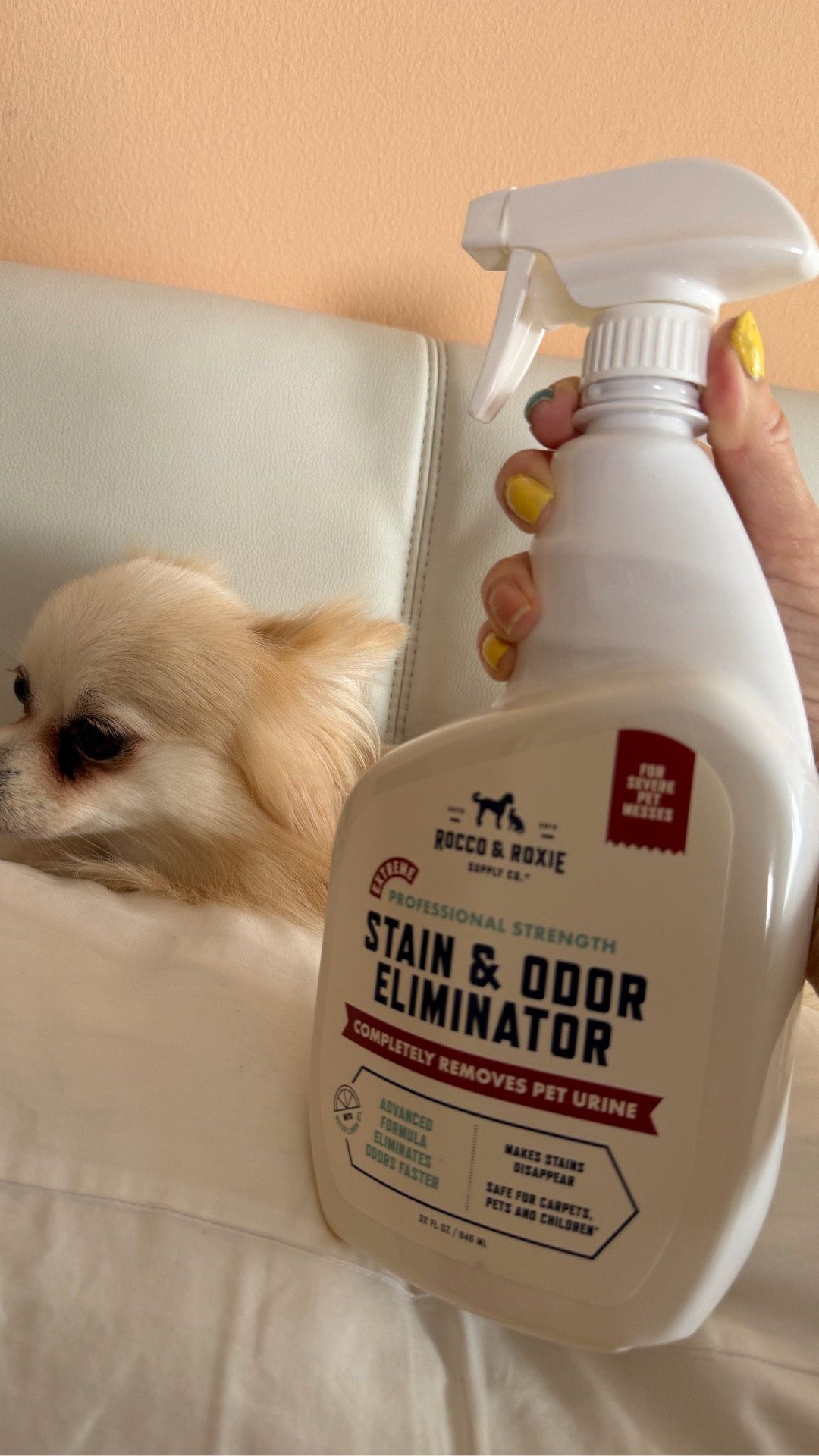 It’s always Rocco & Roxie to the rescue!🐾🐕

#LTKvlog #LTKHome #LTKdayinmylife